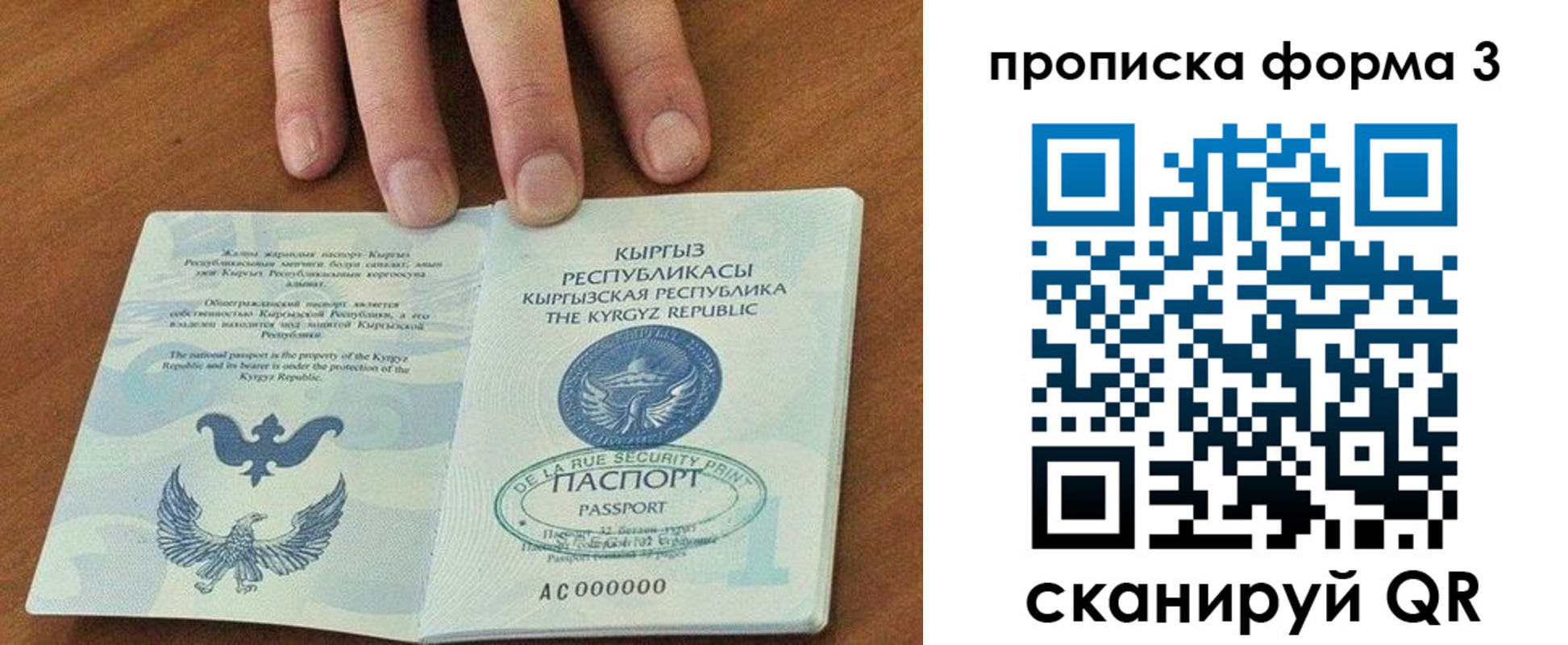 прописка 2025 в Тереке